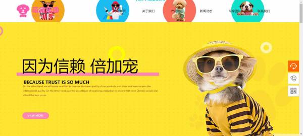 长春网站建设