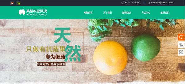 长春网站建设