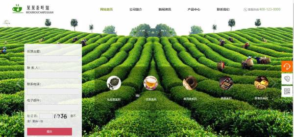 长春网站建设