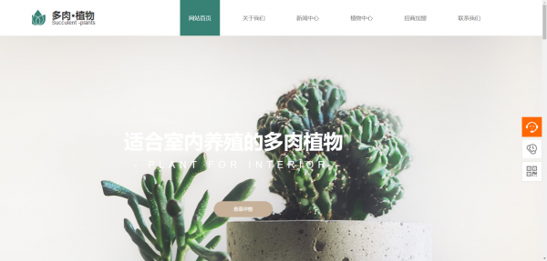 长春网站建设