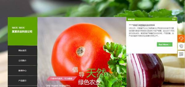 长春网站建设