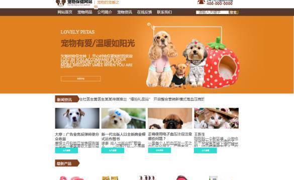 长春网站建设