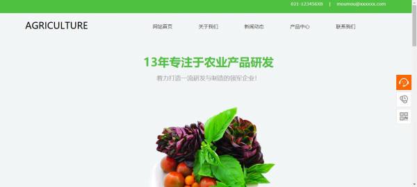 长春网站建设