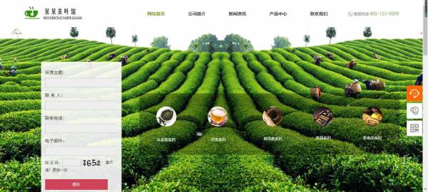 长春网站建设