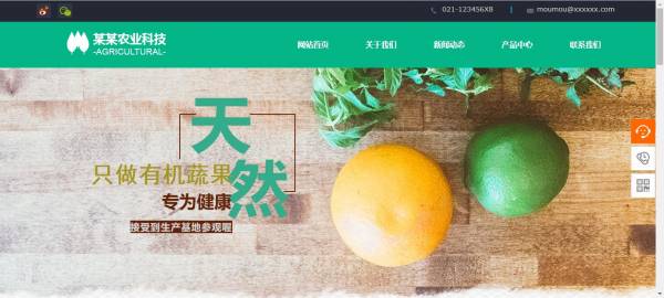 长春网站建设
