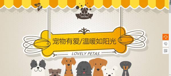 长春网站建设