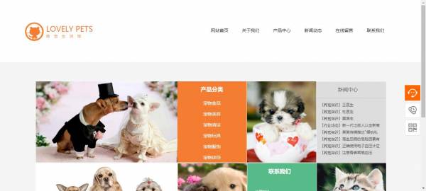 长春网站建设