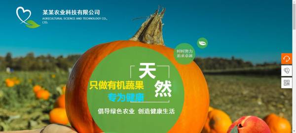 长春网站建设