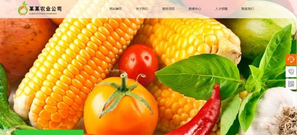 长春网站建设