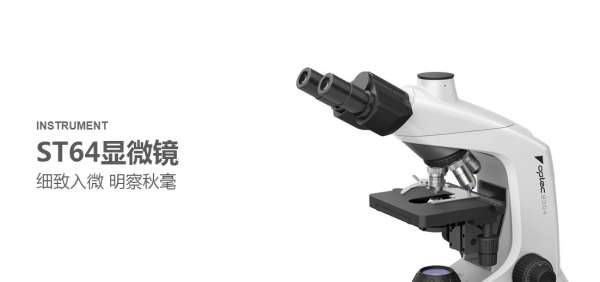 长春网站建设