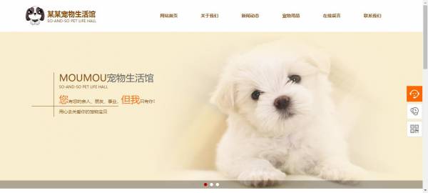 长春网站建设