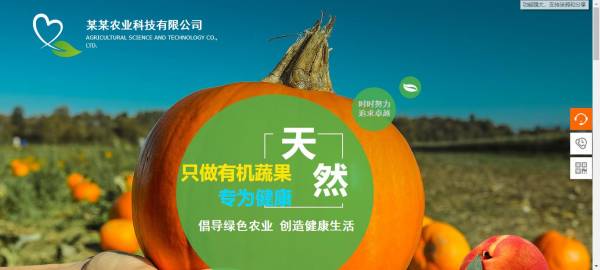 长春网站建设