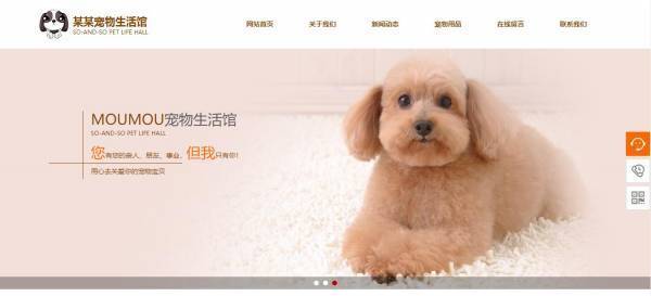 长春网站建设