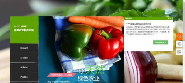 长春网站建设