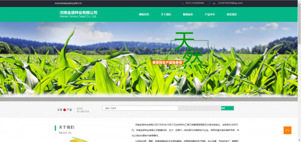 长春网站建设