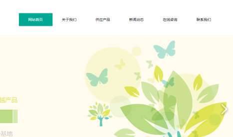 长春网站建设