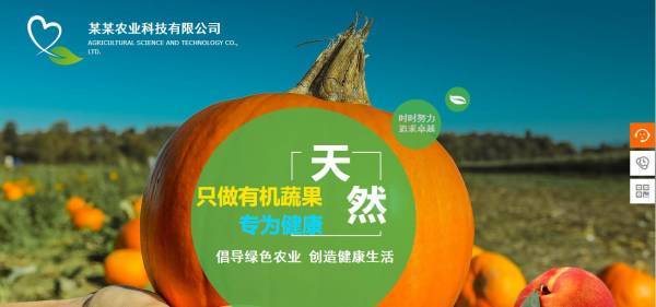 长春网站建设