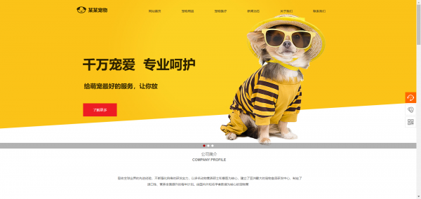 长春网站建设