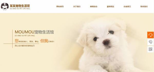 长春网站建设