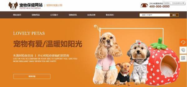 长春网站建设