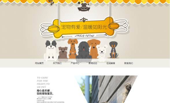 长春网站建设