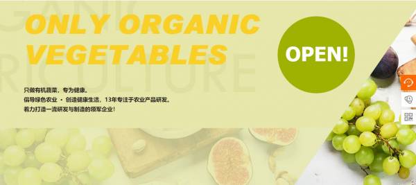 长春网站建设