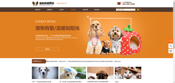 长春网站建设