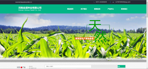 长春网站建设