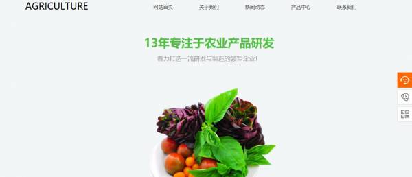长春网站建设