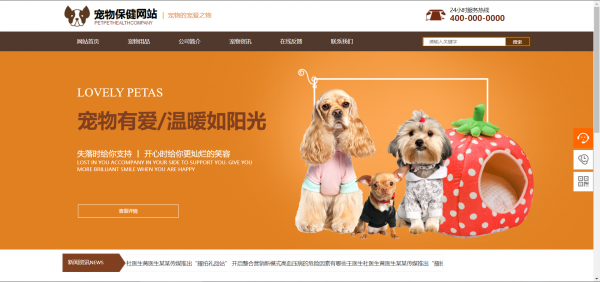 长春网站建设