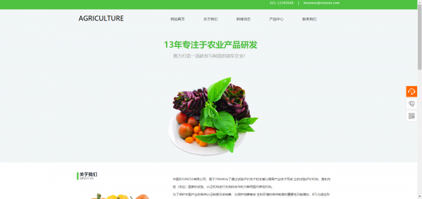 长春网站建设