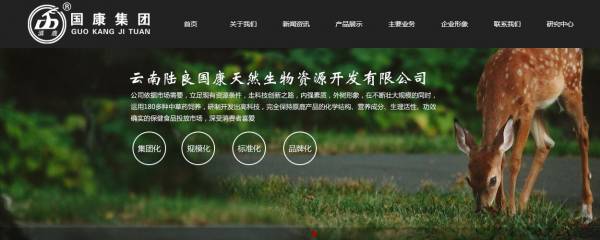 长春网站建设