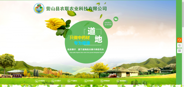 长春网站建设