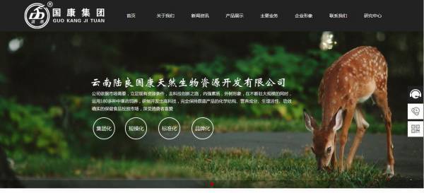 长春网站建设