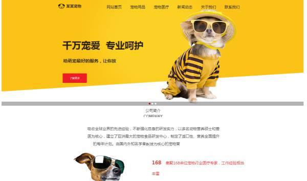 长春网站建设