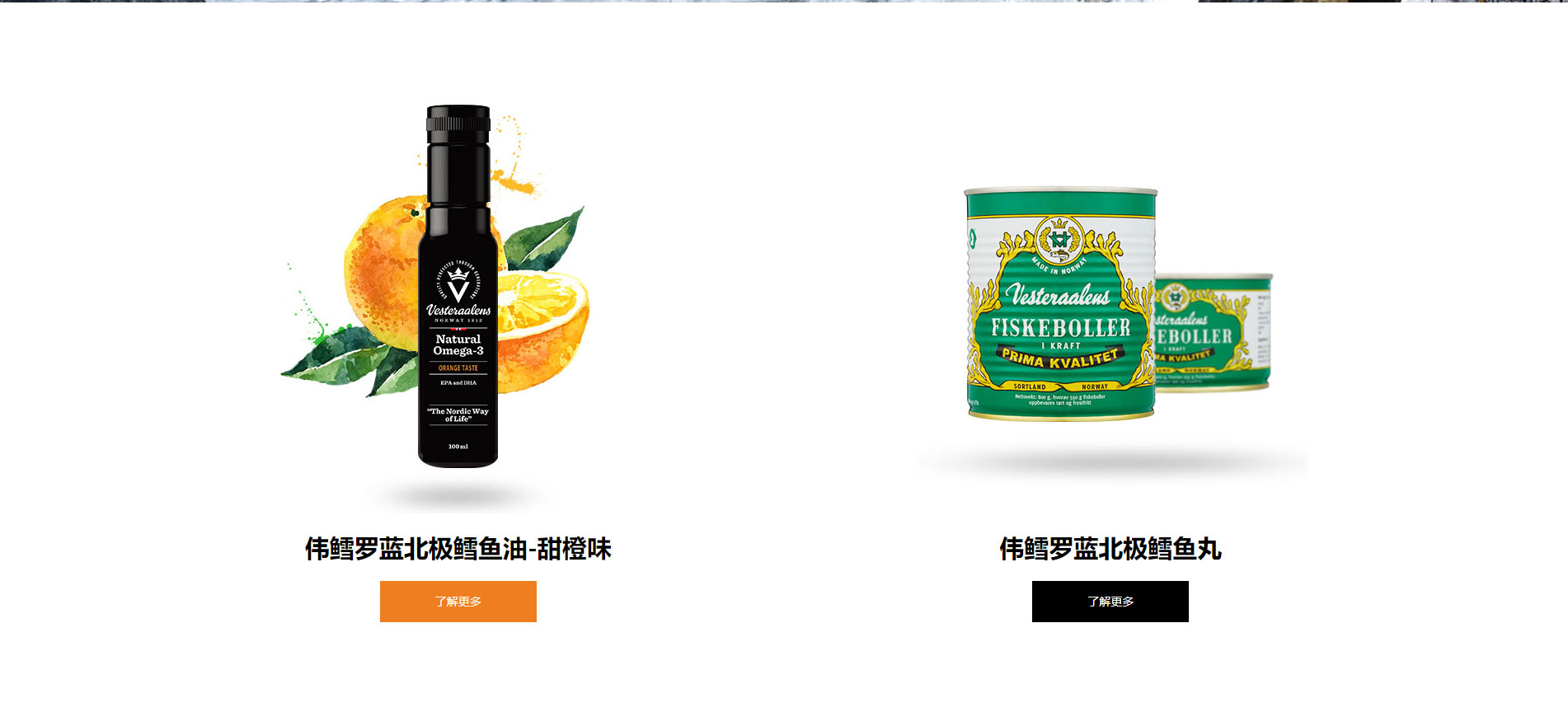 企业网站建设