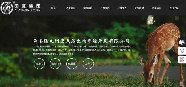 长春网站建设