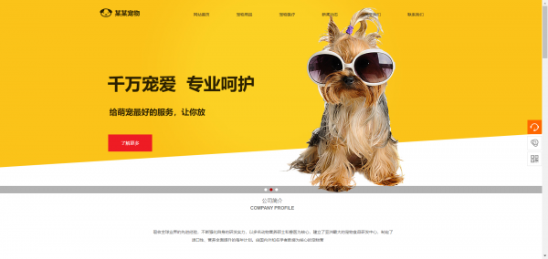 长春网站建设