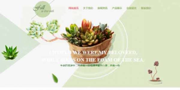 长春网站建设