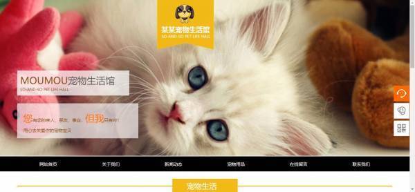 长春网站建设