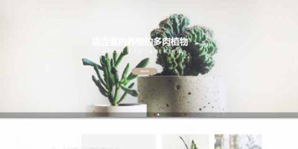 长春网站建设