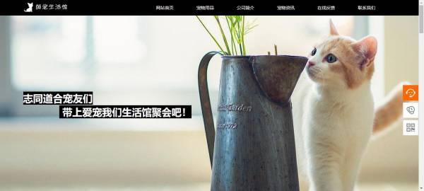 长春网站建设